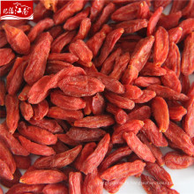 Ningxia berry fruit 380